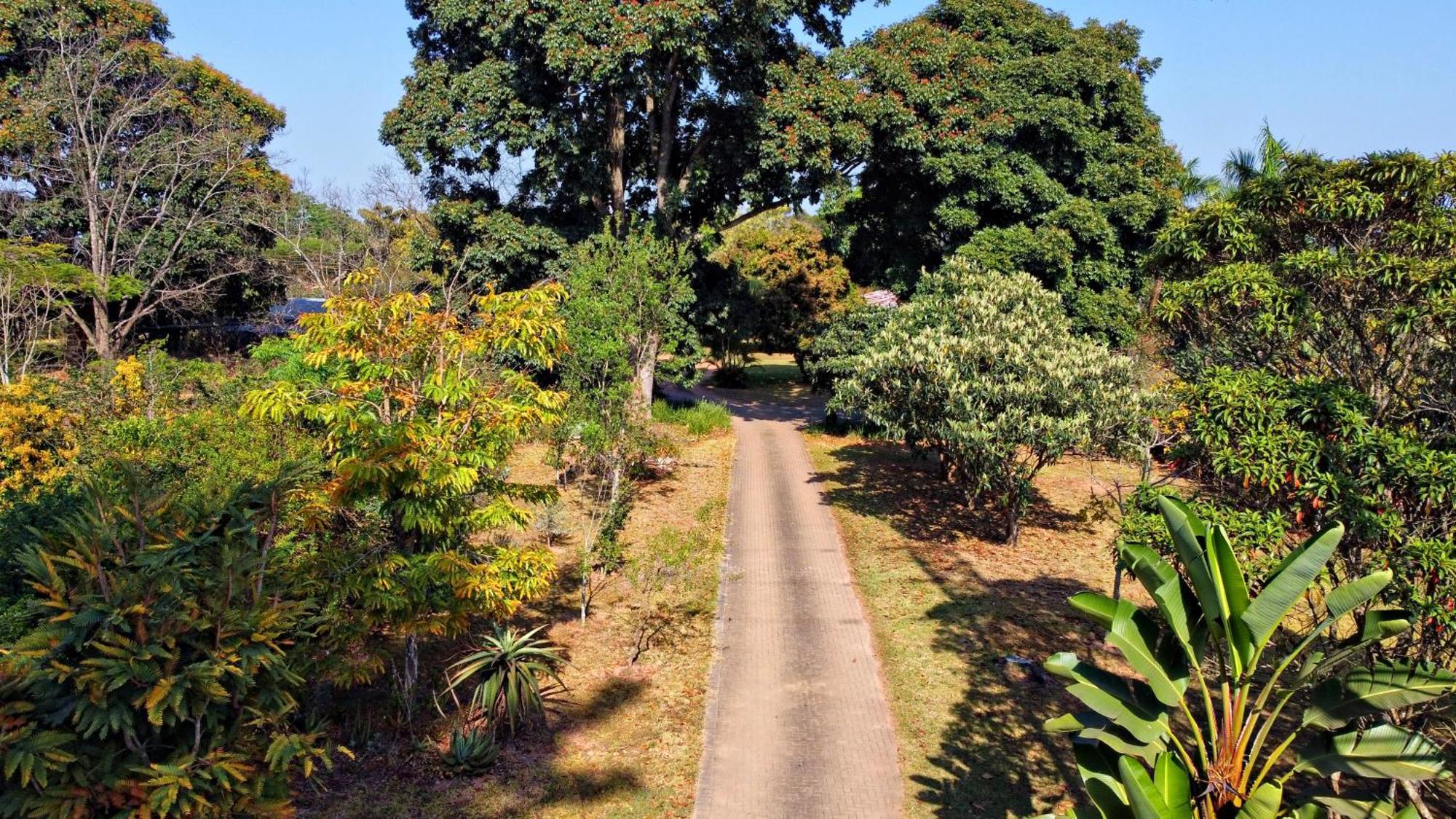 Ilanda Guest House White River Esterno foto
